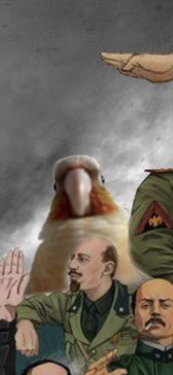 Sgt Steiner tweet media