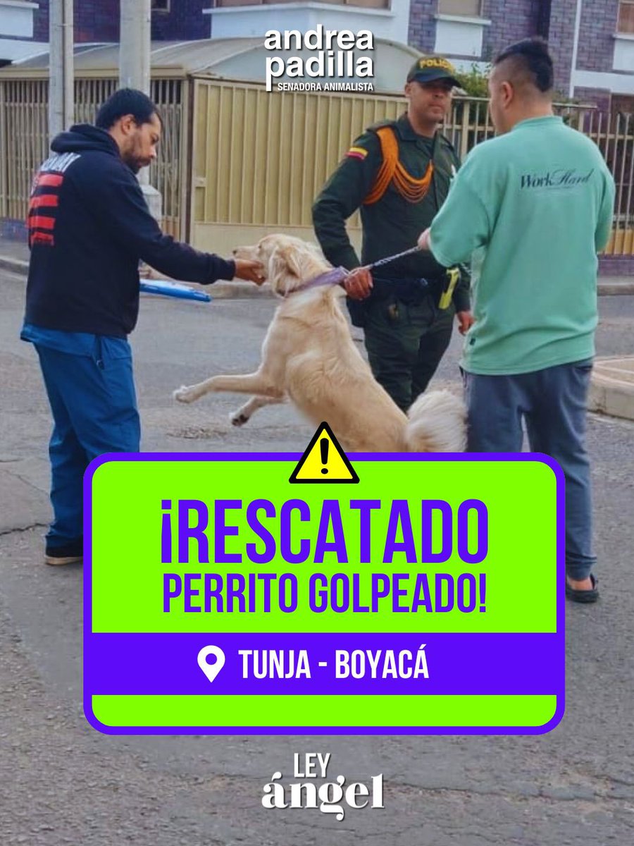 Andrea Padilla Villarraga 🪽🐾 tweet media