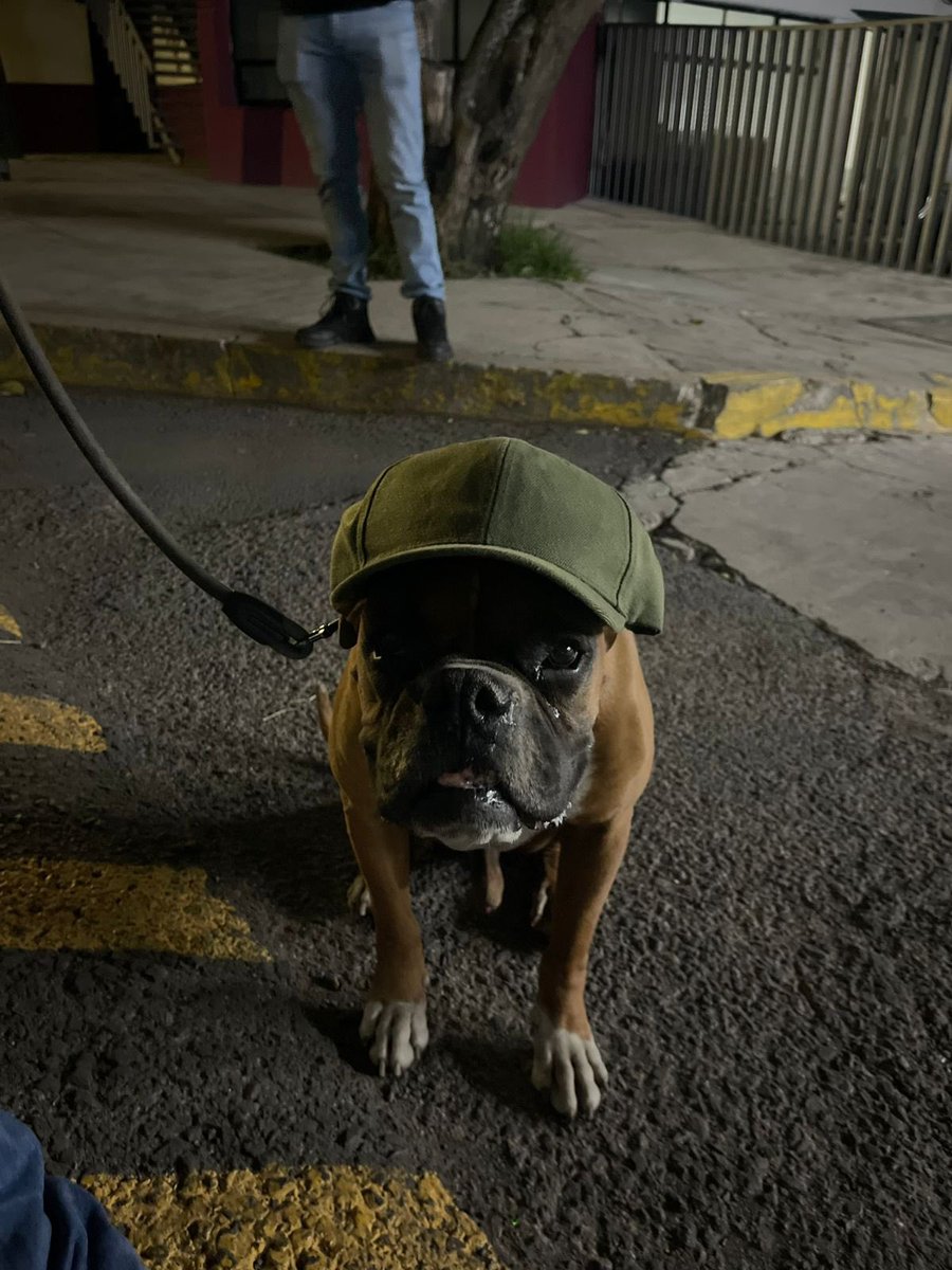 Cynthia Chavez R tweet media