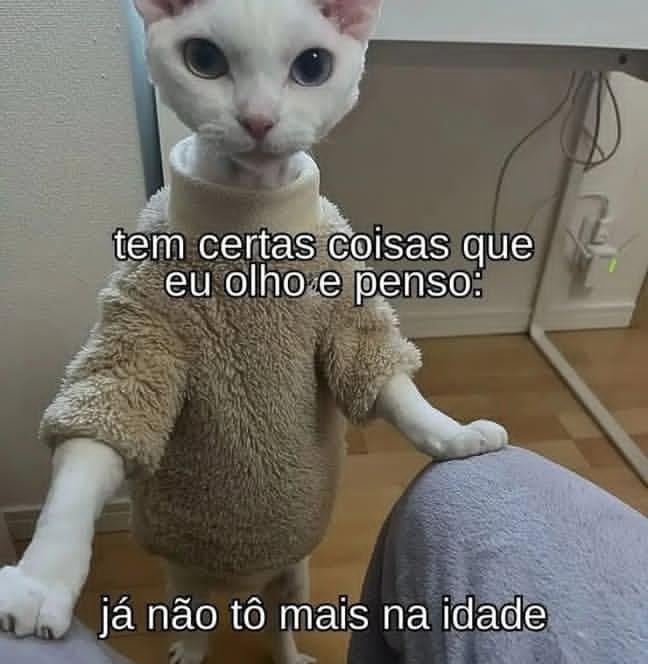 teu caos tweet media