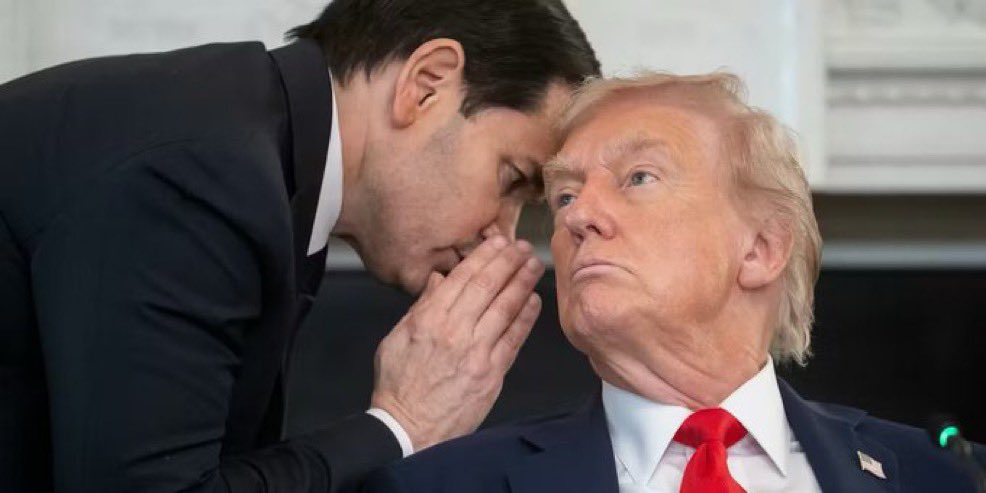 Ⓓⓨⓢⓣⓞ tweet media