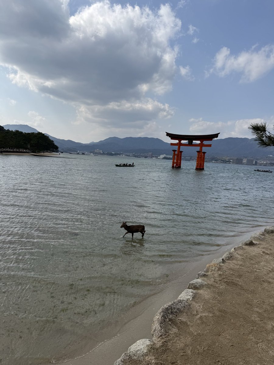 chi_463's tweet photo. 3月も相変わらずバタバタ！
広島行ったり、ドラァグクイーンのお店行ったり、R66TSも。
今から東京行ってきます😆
それにしてもR66TS楽しかったー
4時間超えのライブ、青春時代を思い出した。演者と客席との一体化がすごかったー https://t.co/80ccX3Whqm