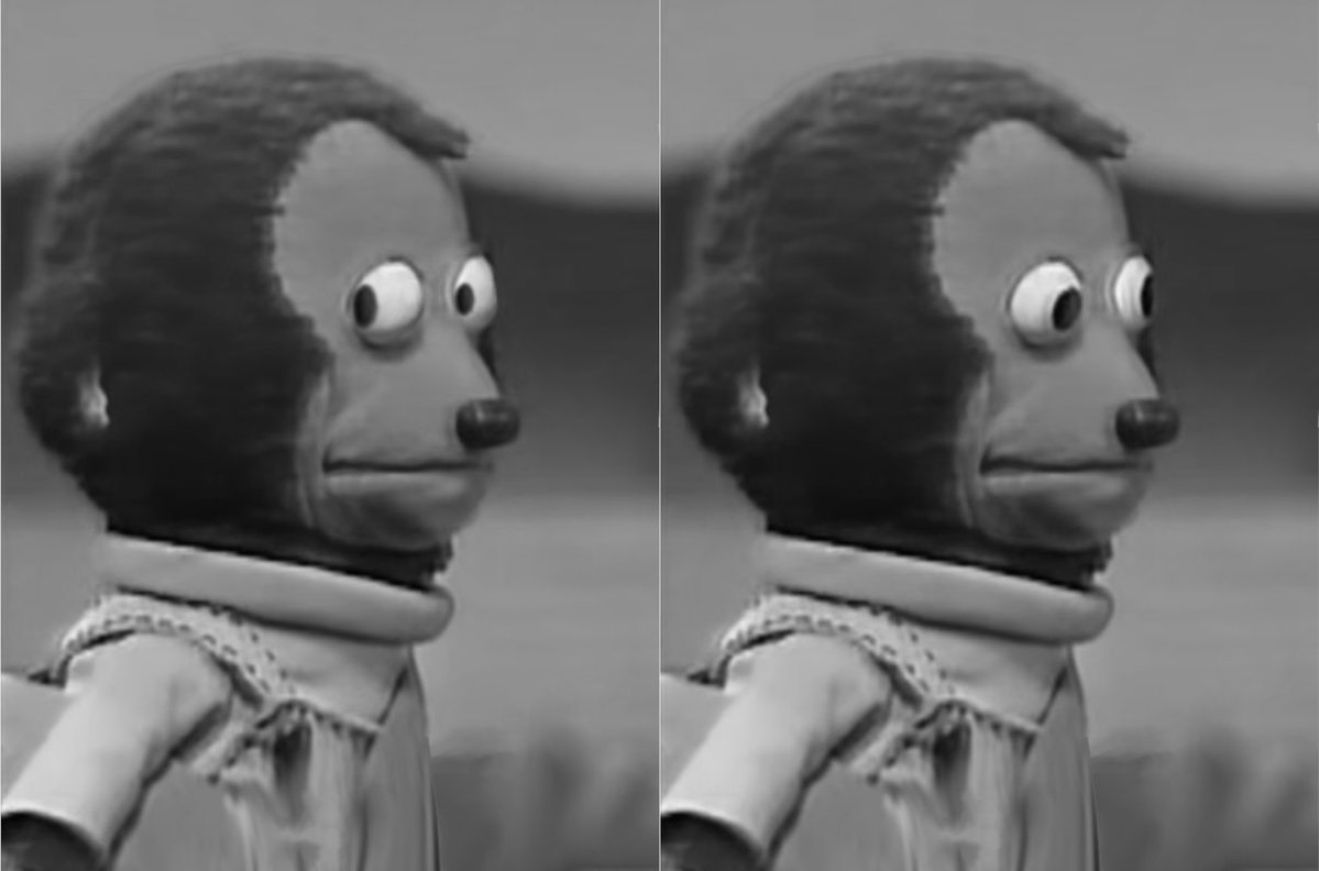 Endymion tweet media