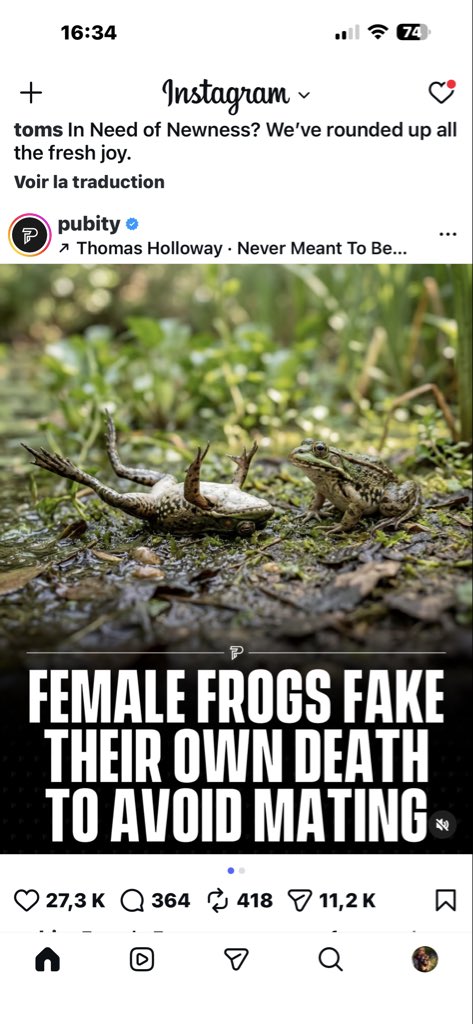 Mami Caro tweet media