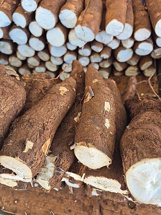 Central do Vasco tweet media