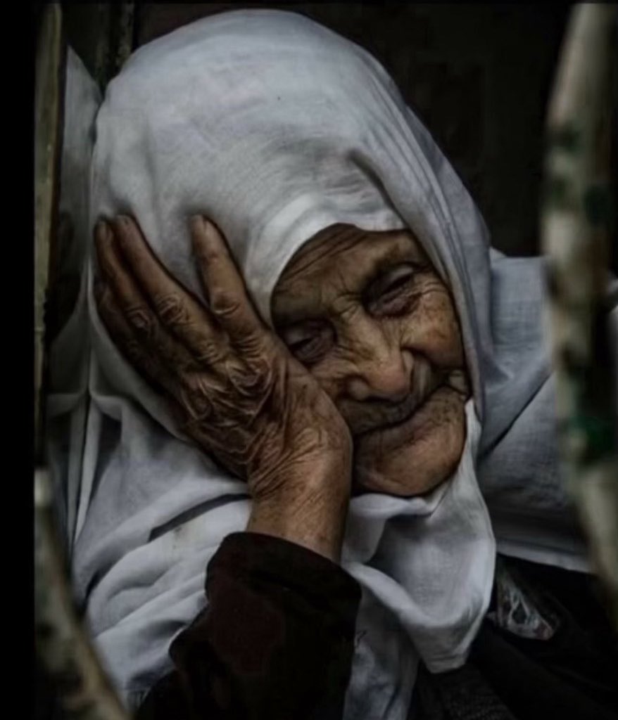 ماجد tweet media