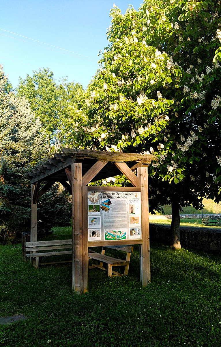 DaniElefantman's tweet image. Área de descanso con paneles informativos en un entorno natural dedicado a la observación de aves junto al río Tormes #aves #panel #torme #Salamanca #Tormes #hacerfotos
