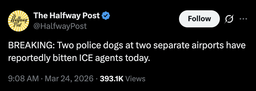 derek guy tweet media