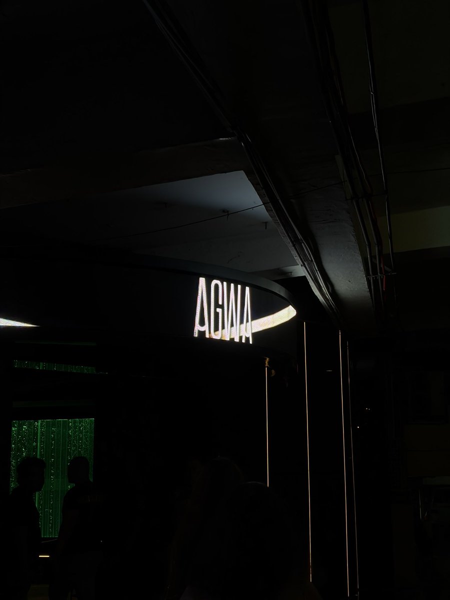 r🦖wr! tweet media