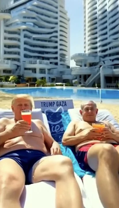 OrangeCat tweet media