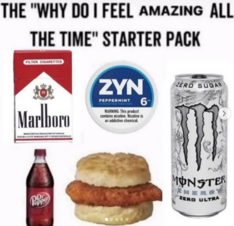 ratcelia 🏳️‍⚧️🐀 tweet media