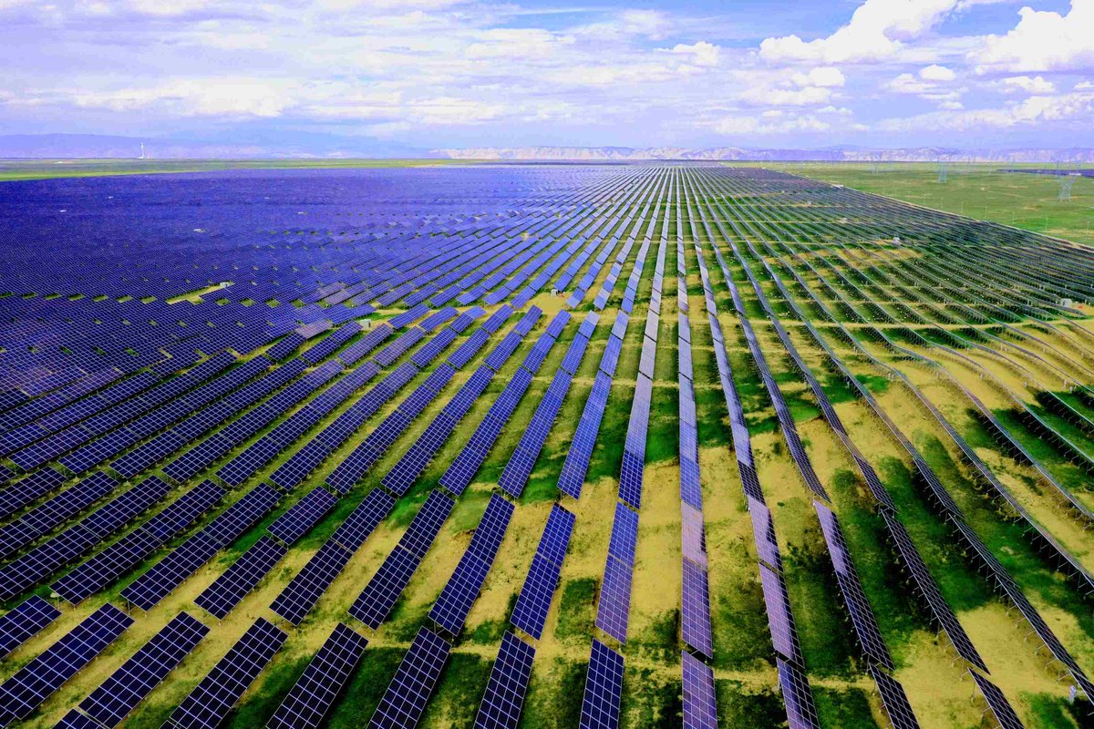 ChineseEmbassyInNZ tweet media