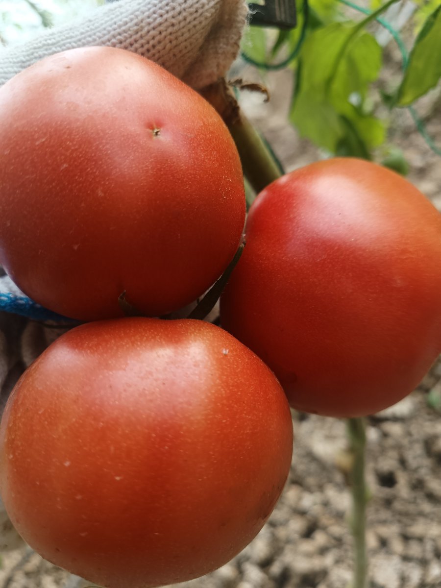 Marilyn Lerner tweet media