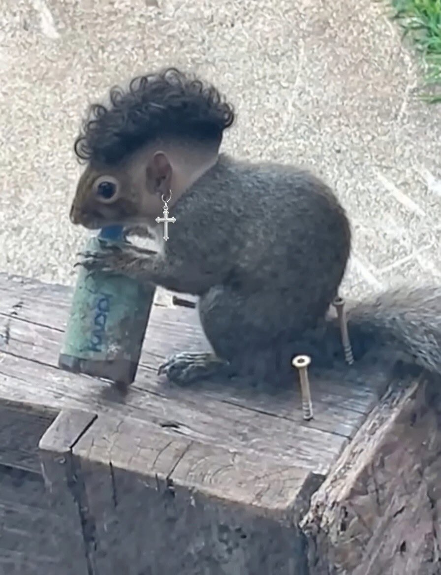 Prison Mitch tweet media