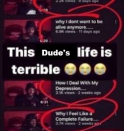 lexi 🦌 tweet media