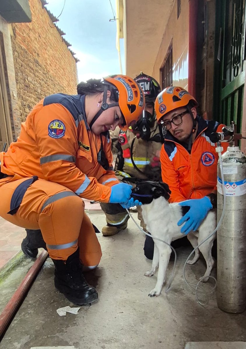 DefensaCivilColombia tweet media