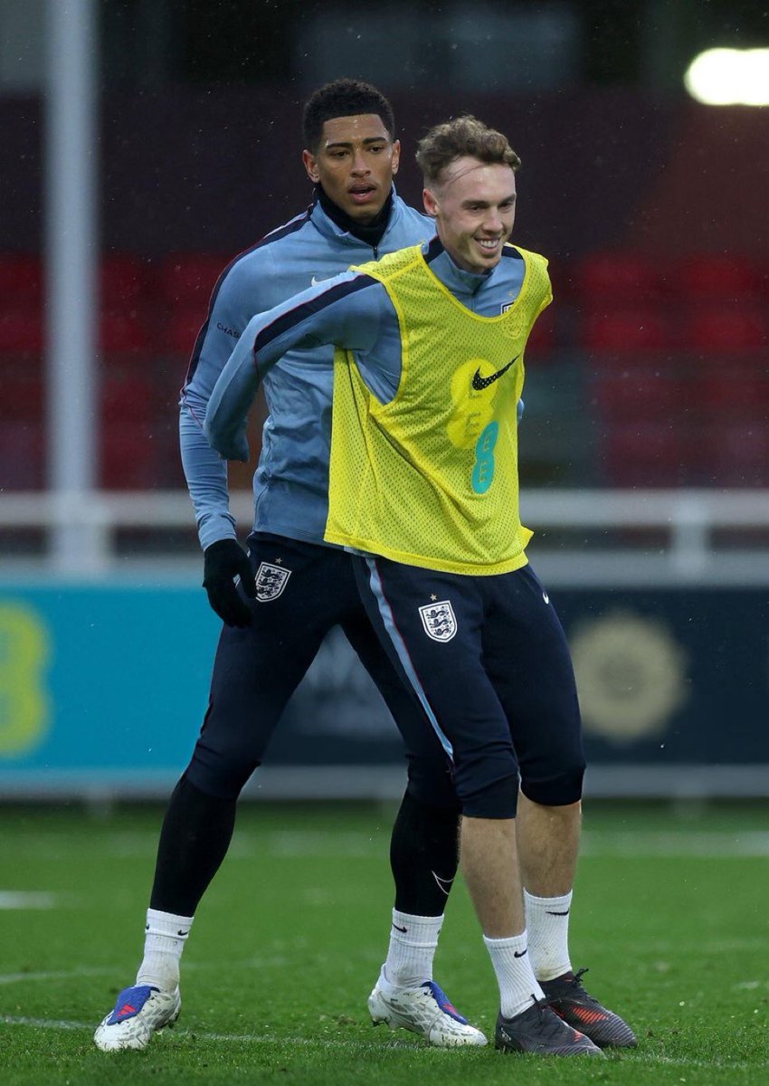 Madrid Zone tweet media