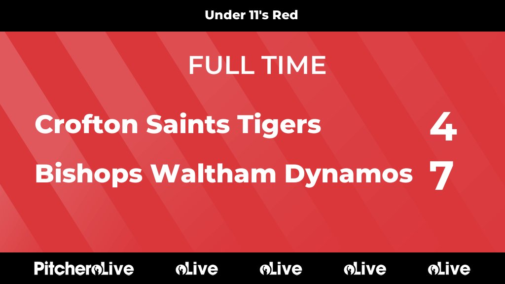 Bishops Waltham Dynamos FC tweet media