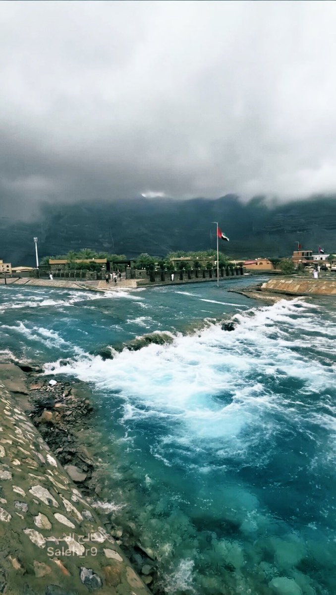 بو حمد 🇦🇪 tweet media