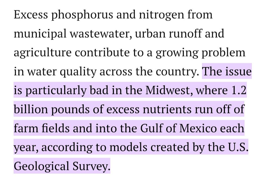 Patrick Heizer tweet media