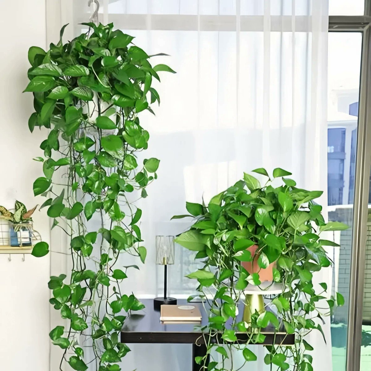 Nachilya Mirriam tweet media