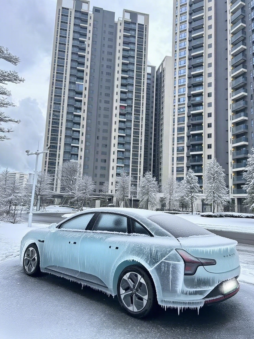 elel perez contreras tweet media