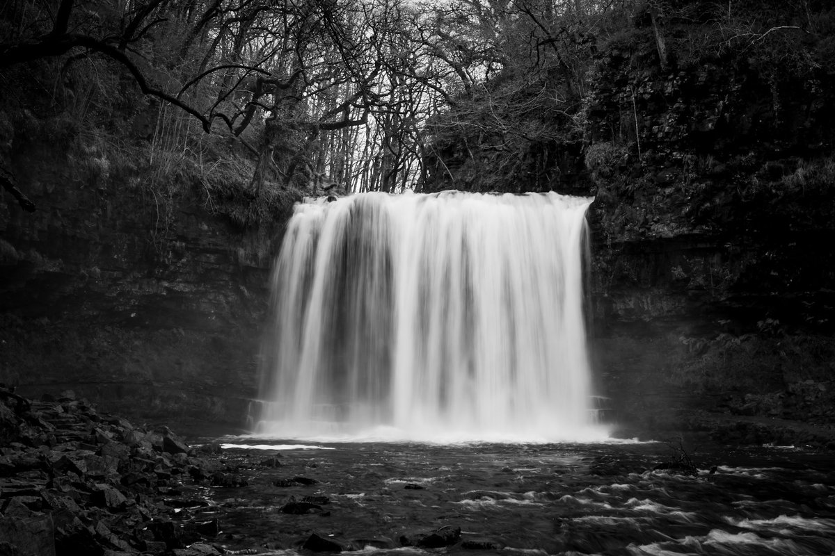 𝙳𝚊𝚟𝚎 𝚈𝚘𝚞𝚗𝚐 tweet media