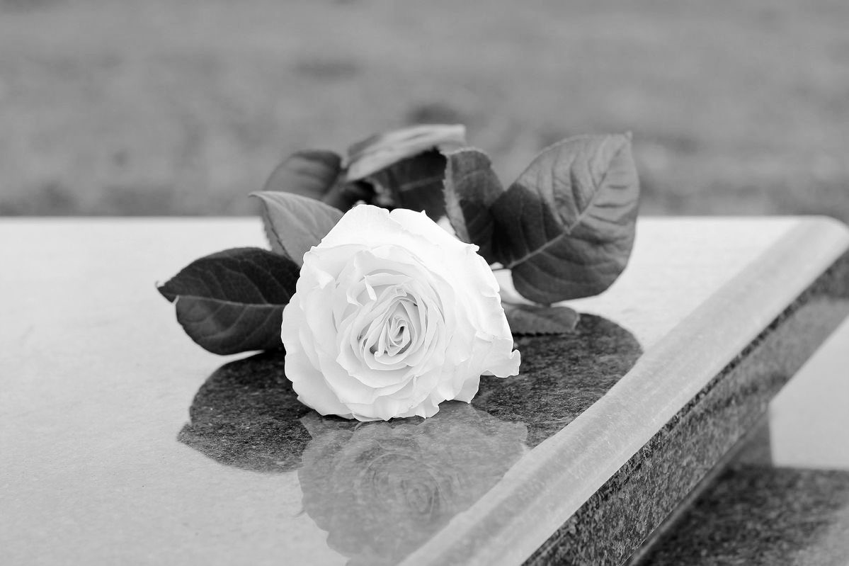 𝐏𝐑𝐔𝐃𝐄𝐍𝐂𝐄 𝐂𝐋𝐀𝐈𝐑𝐄 tweet media