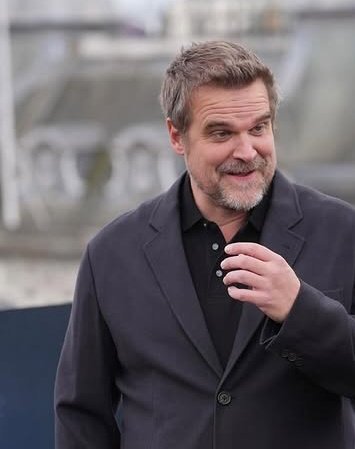 DavidHarbour.home tweet media