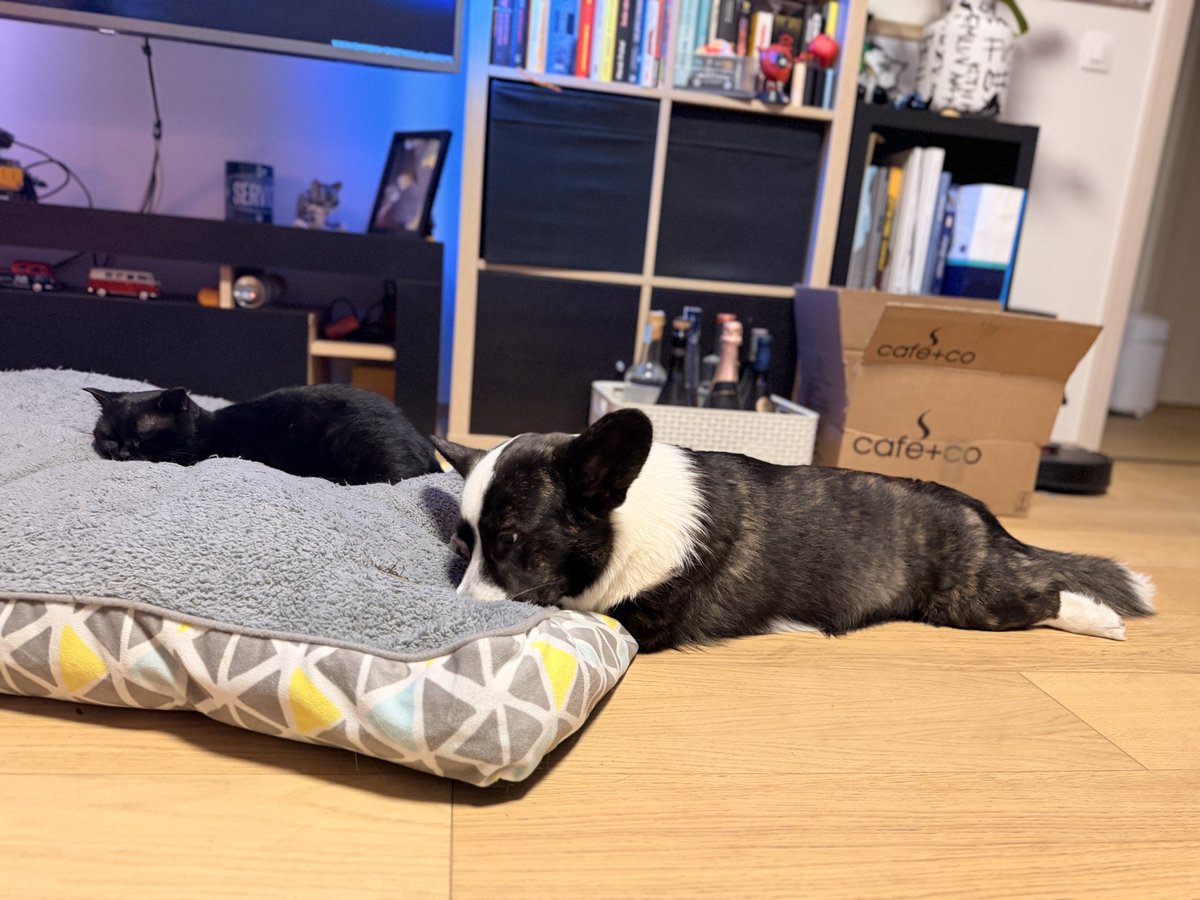 Nikola Kaňák tweet media