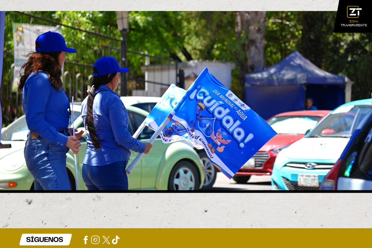 Zona Transparente tweet media