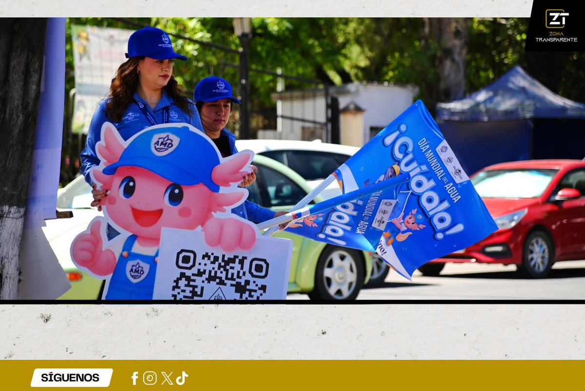 Zona Transparente tweet media