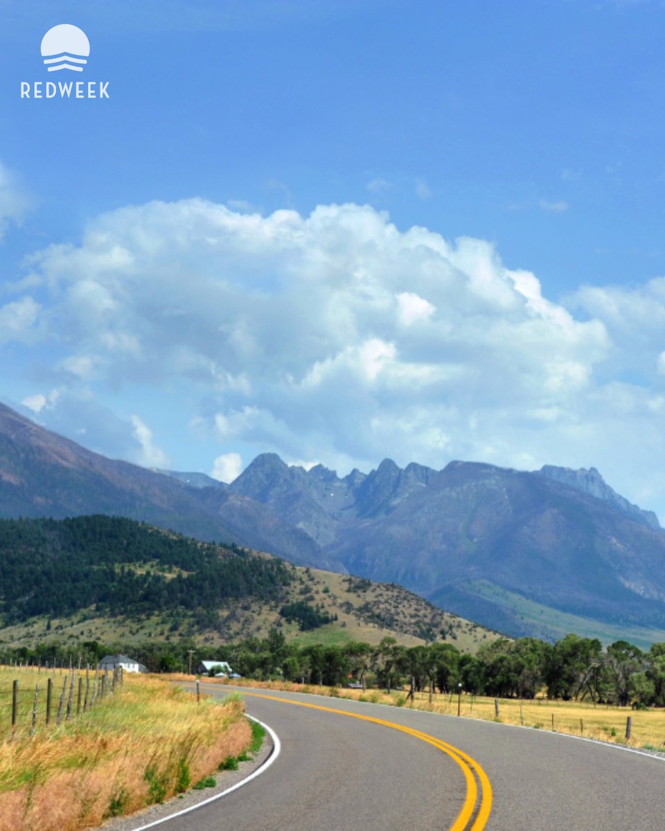 RedWeek Official tweet media