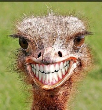 Soso💕💕 tweet media