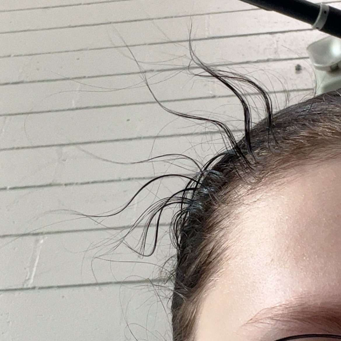 johnny 🗡️ @transpittweek tweet media