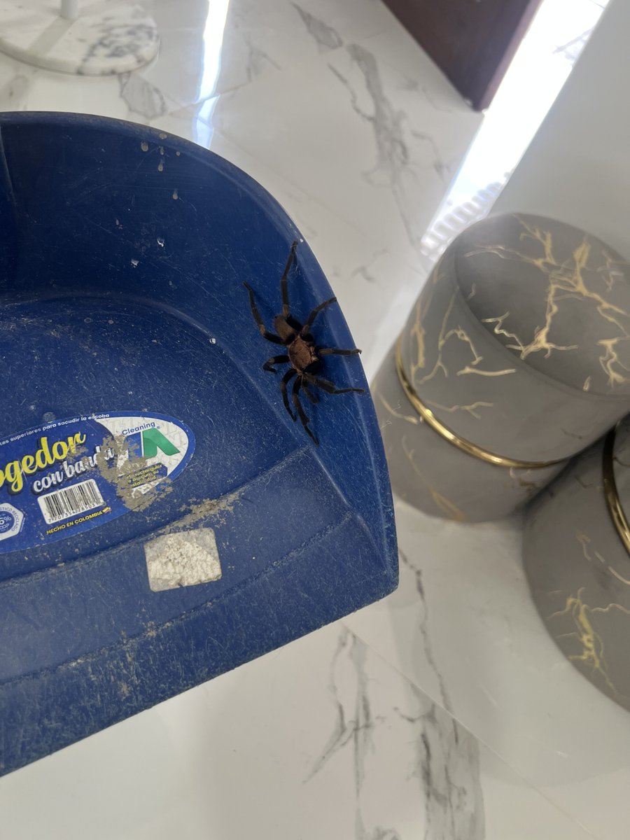 JEFFERY @TriggeredCapital tweet media