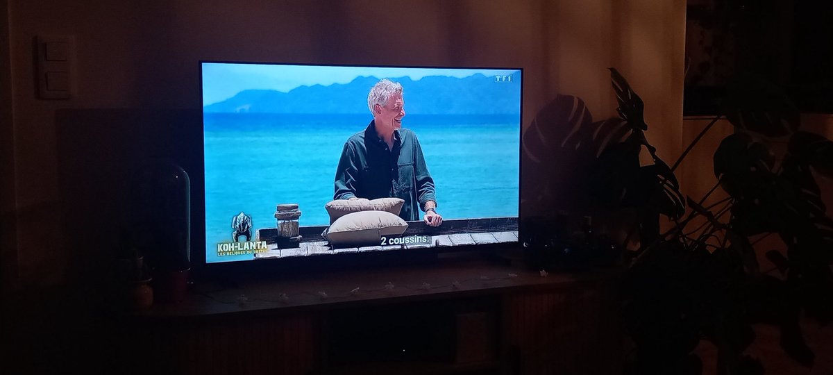 "Si vous gagnez cette manche, vous pourrez emporter ces coussins plein de pisse de chat sur votre camp"

#KohLanta