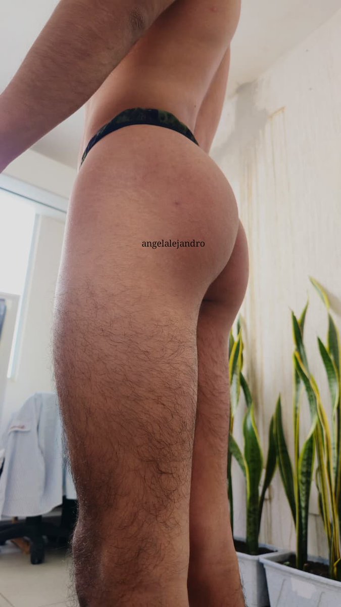 Sr Cabeza de Champiñon tweet media