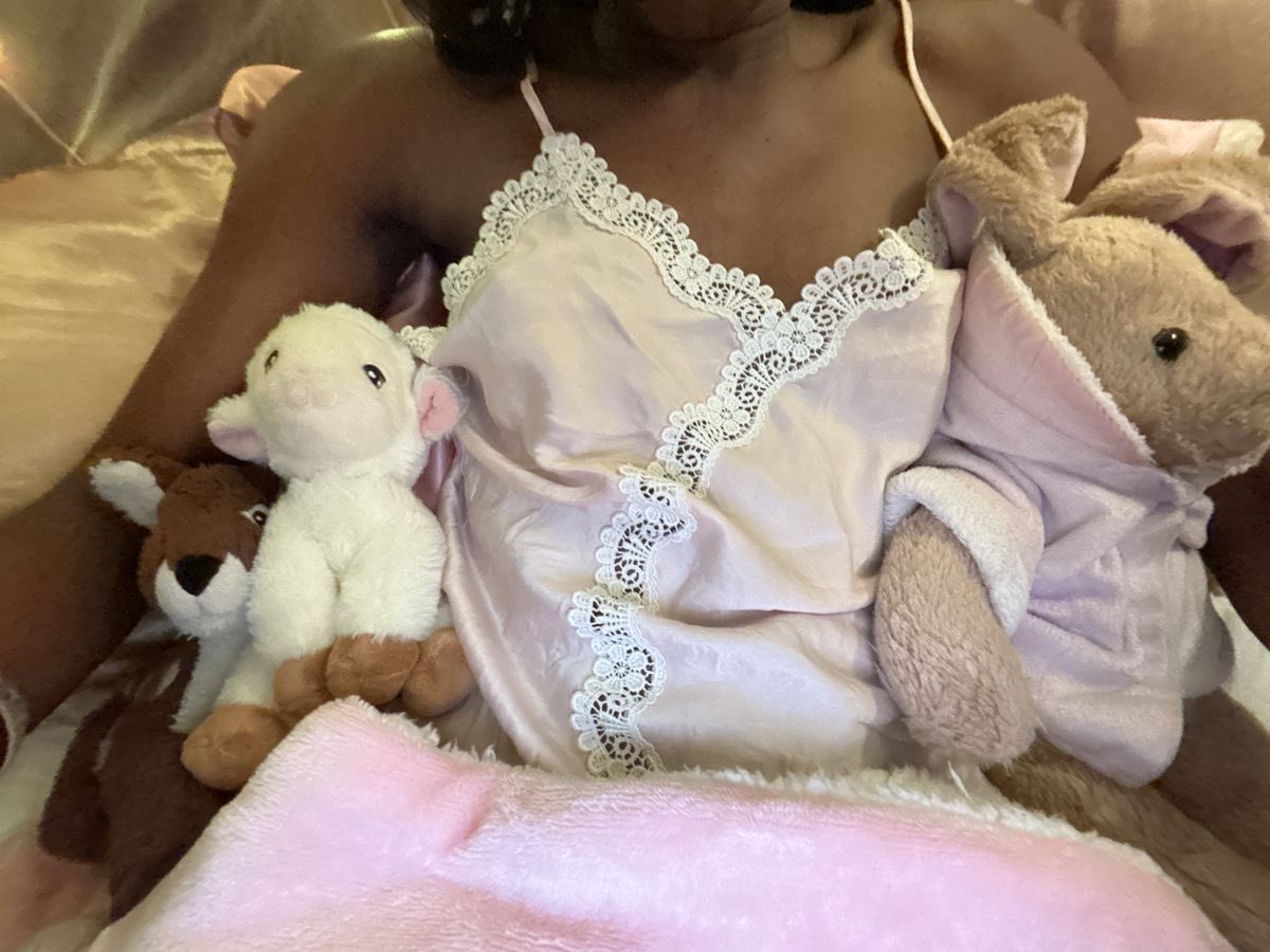 bimbography tweet media