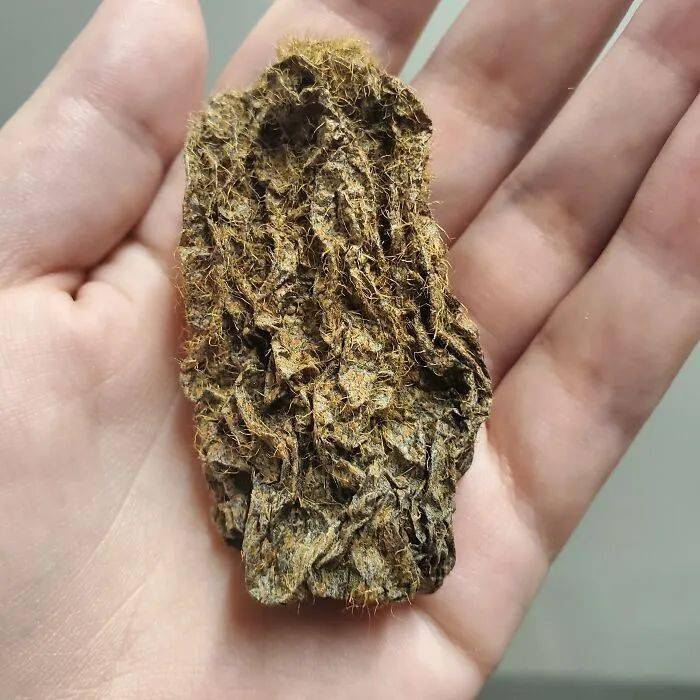 Fay johnson tweet media