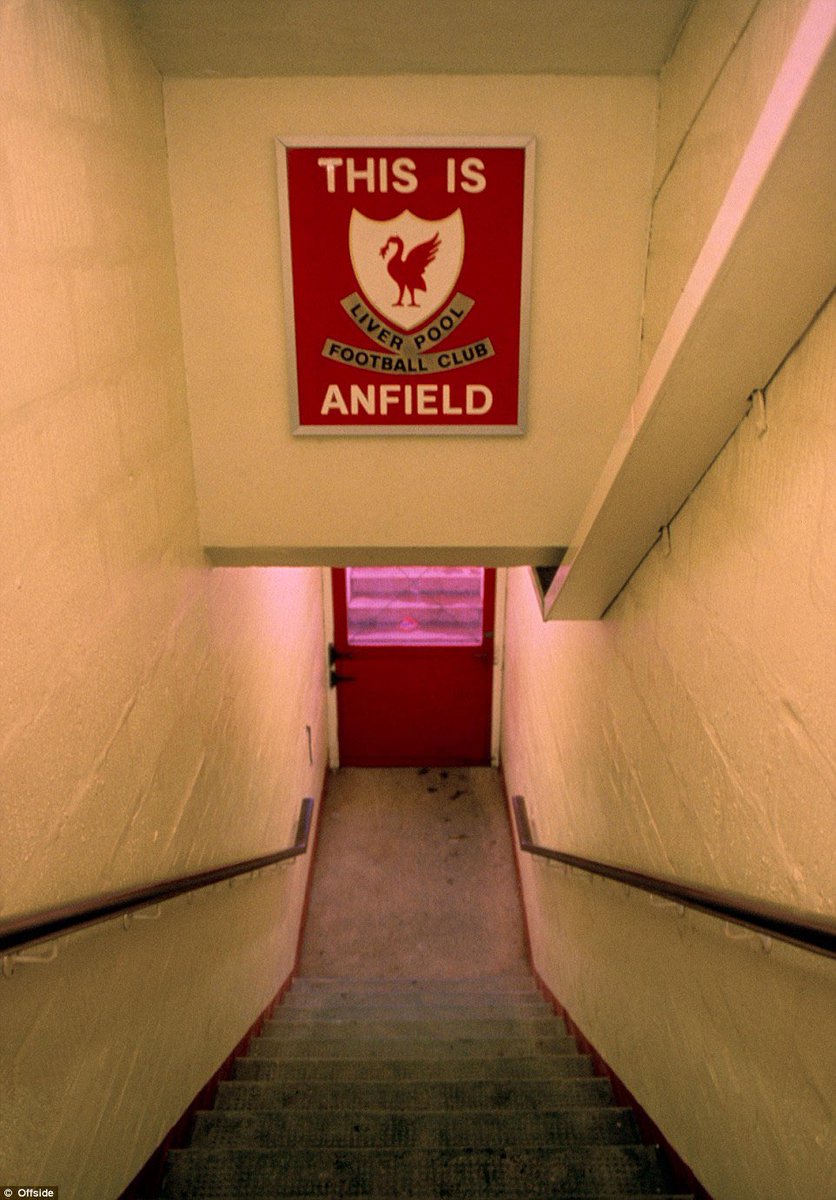 Bader Dashti tweet media