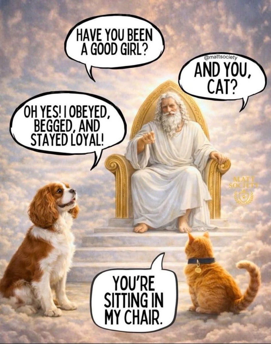 'The Ronster' tweet media