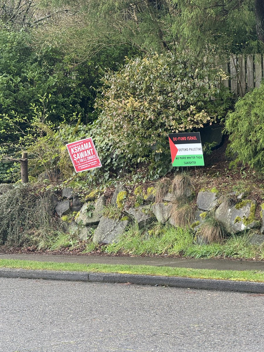 gal debored tweet media