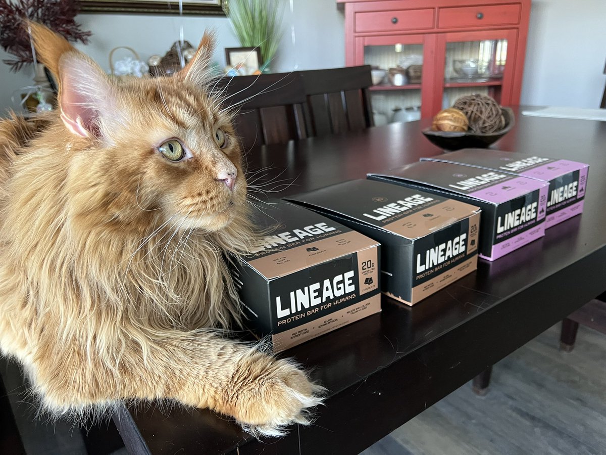 Seed Oil Disrespecter™️ tweet media