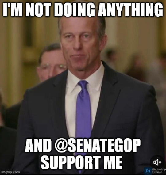 wayne252349's tweet image. @LeaderJohnThune has worked with @SenSchumer
to  block SAVE at every turn for the past year,and they won't stop. SAVE will not pass with Thune as leader  #27votes would remove thune,end filibuster,pass SAVE and codify @potus EO's 
Every @senategop incumbent still supports Thune!