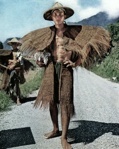 The Late Knight Show tweet media