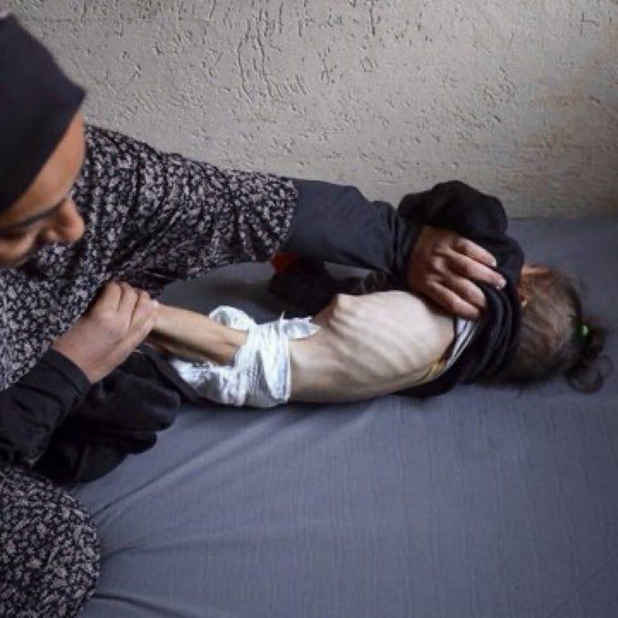 #القدس_ينتفض 🇵🇸 tweet media