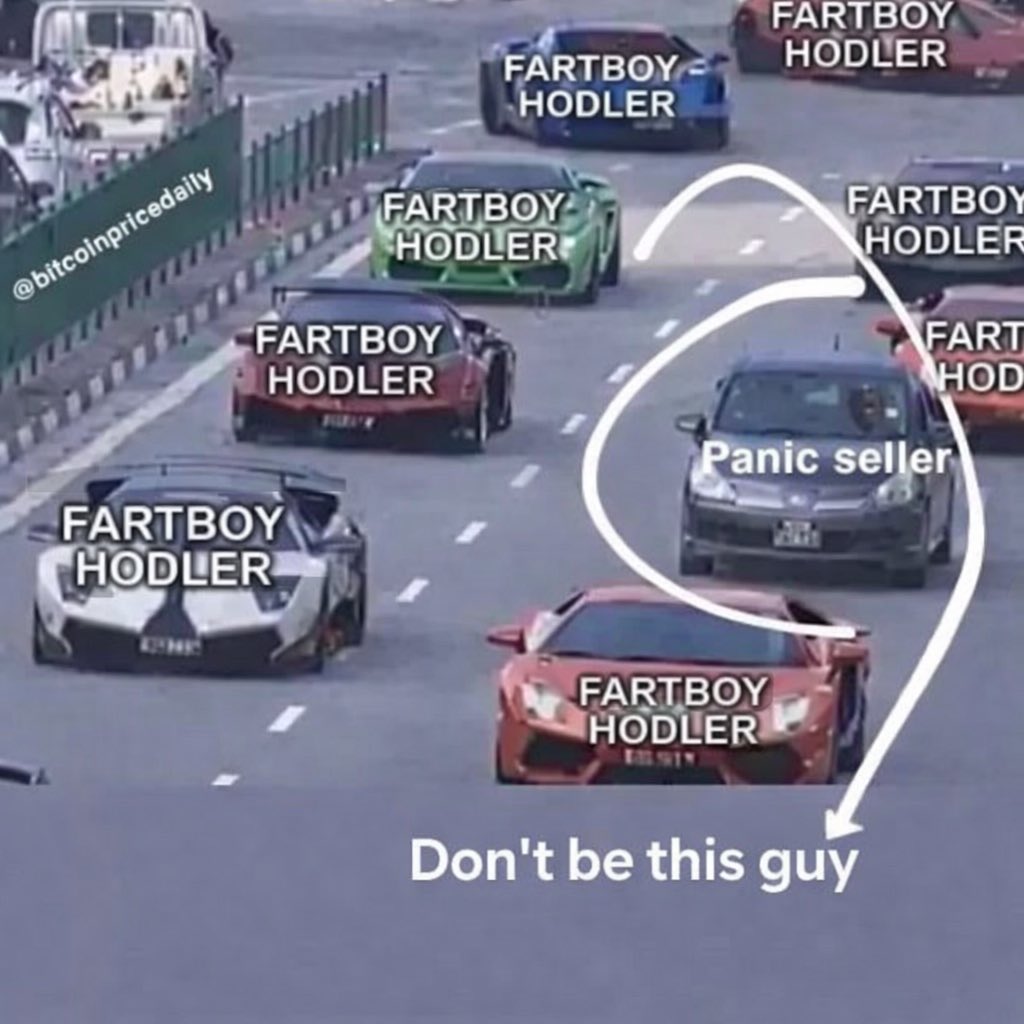 FFHeat (Franky Feo) 🧪🦍 tweet media