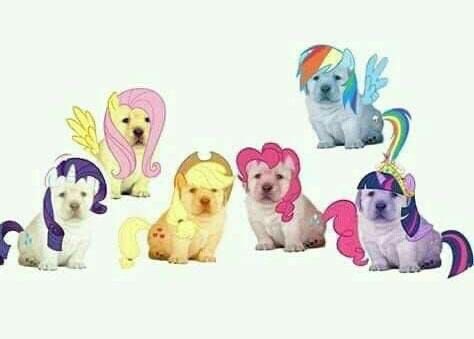 Clov! 🍉 tweet media