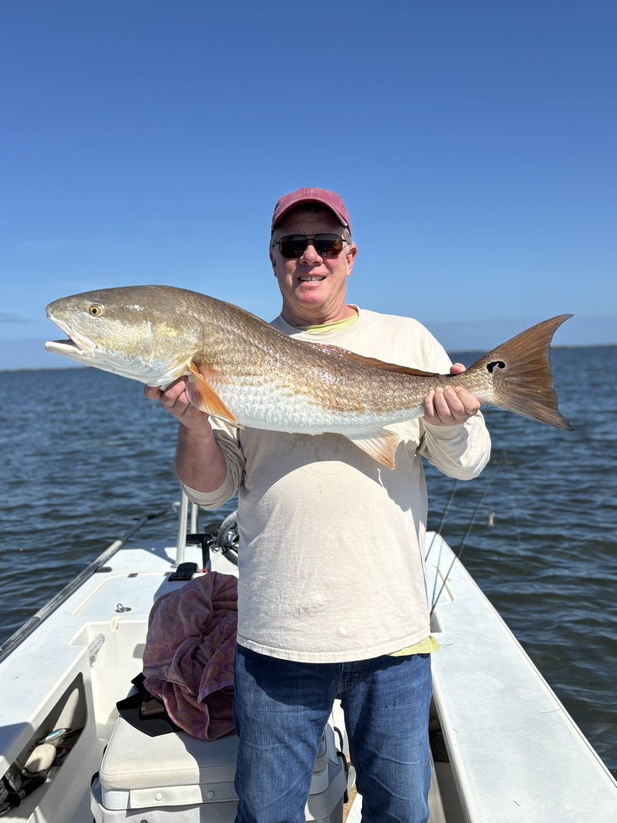 CaptNateLemmon's tweet photo. Spent a recent day with annual clients from the northeast enjoying our sunshine vs their snow! Great morning sight casting black drum and redfish tailing on the flats. Spotted some bull reds,finished up with a big one! #floridasightfishing #redfish #mosquitolagoon #newsmyrnabeach https://t.co/Vwoz284TX8